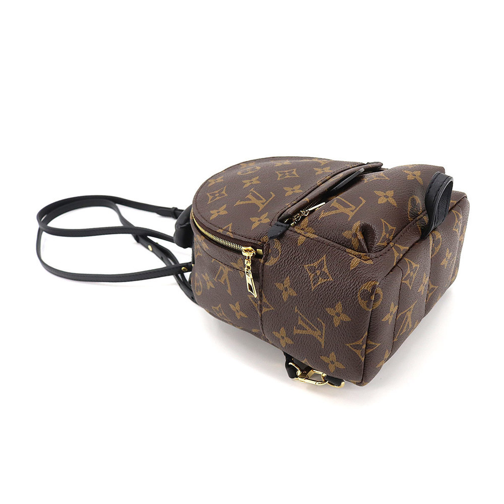 Louis Vuitton Monogram Palm Springs Backpack Mini Rucksack - Picture 4 of 8